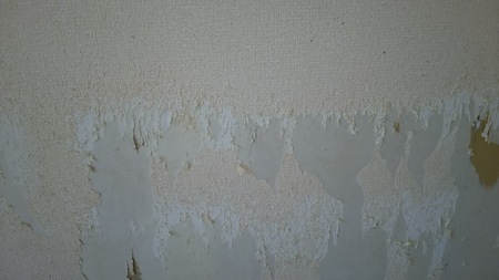 Before画像